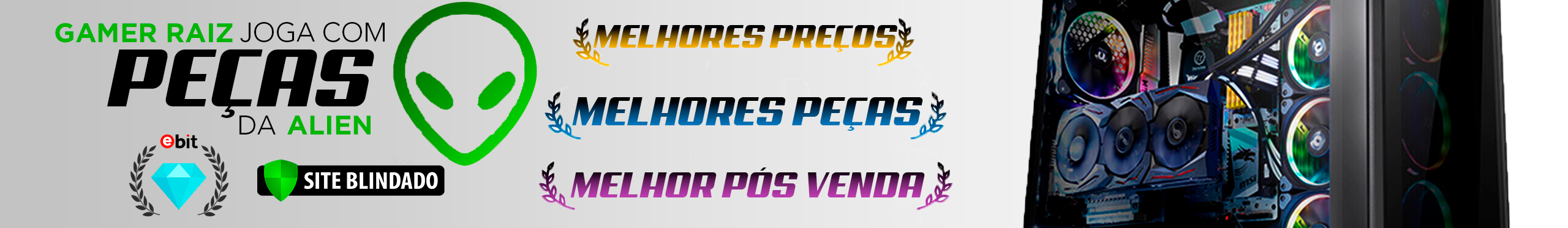 gamer_raiz
